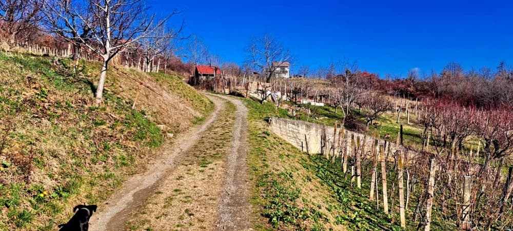 FOTO 7. obiteljski izlet s HPD Gojzericom