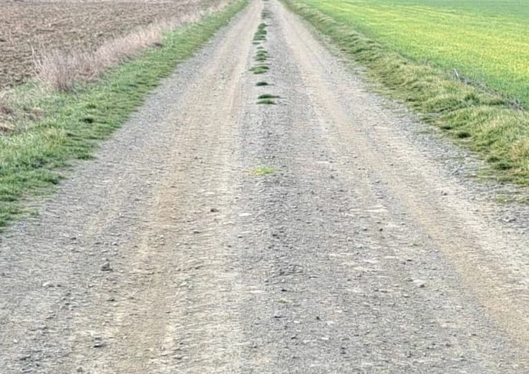 Nerazvrstane ceste u Kutjevu