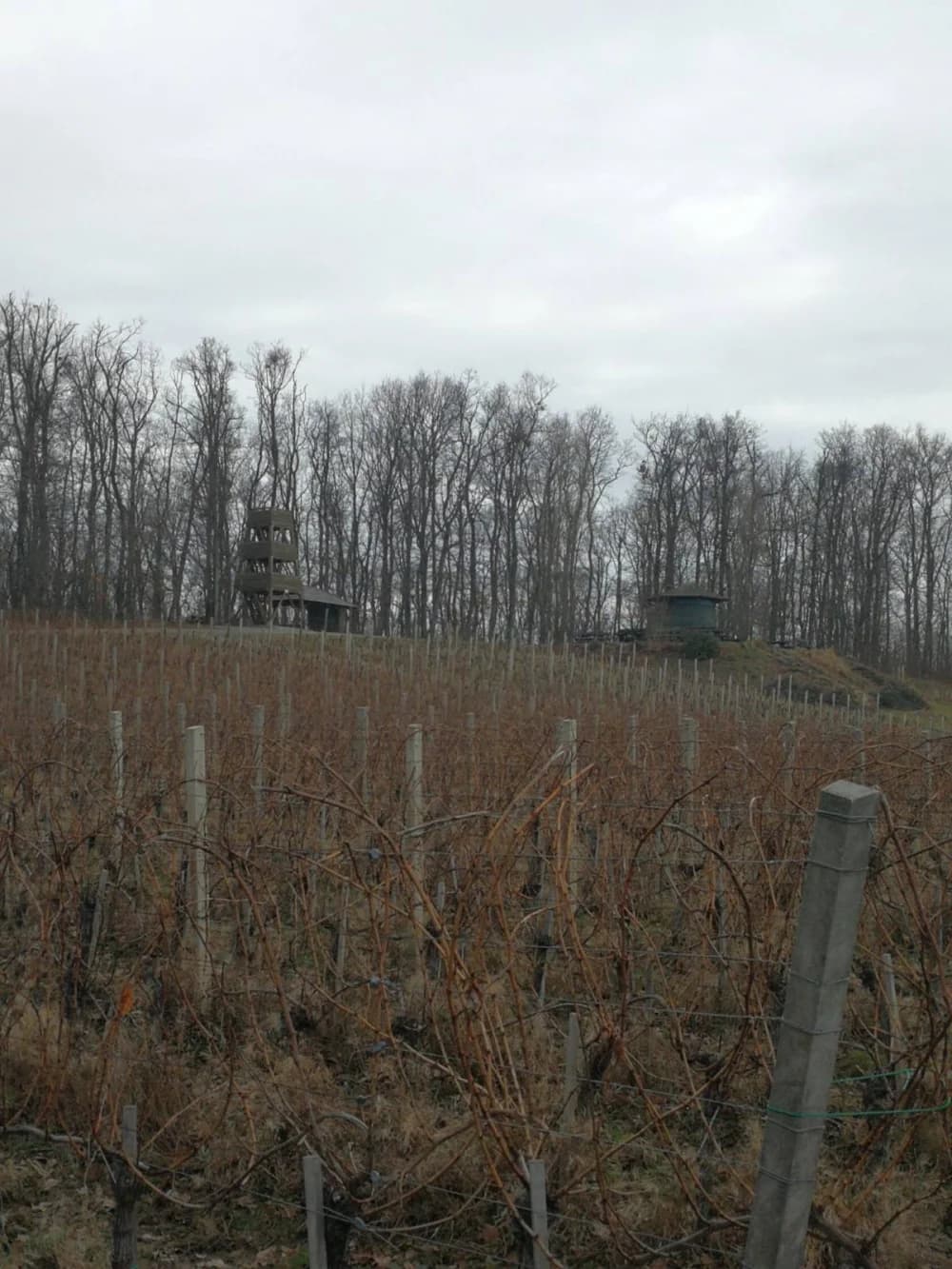 Požeškom gorom od Pleternice do Požege- planinari HPD ’Sokolovac Požega’