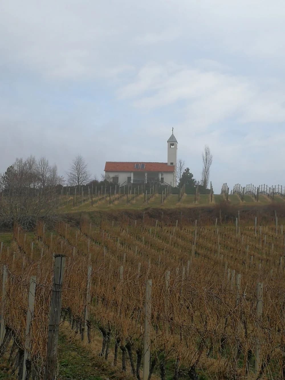 Požeškom gorom od Pleternice do Požege- planinari HPD ’Sokolovac Požega’