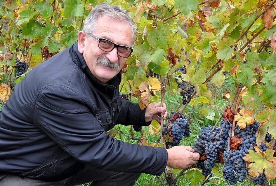 Vlado Krauthaker
