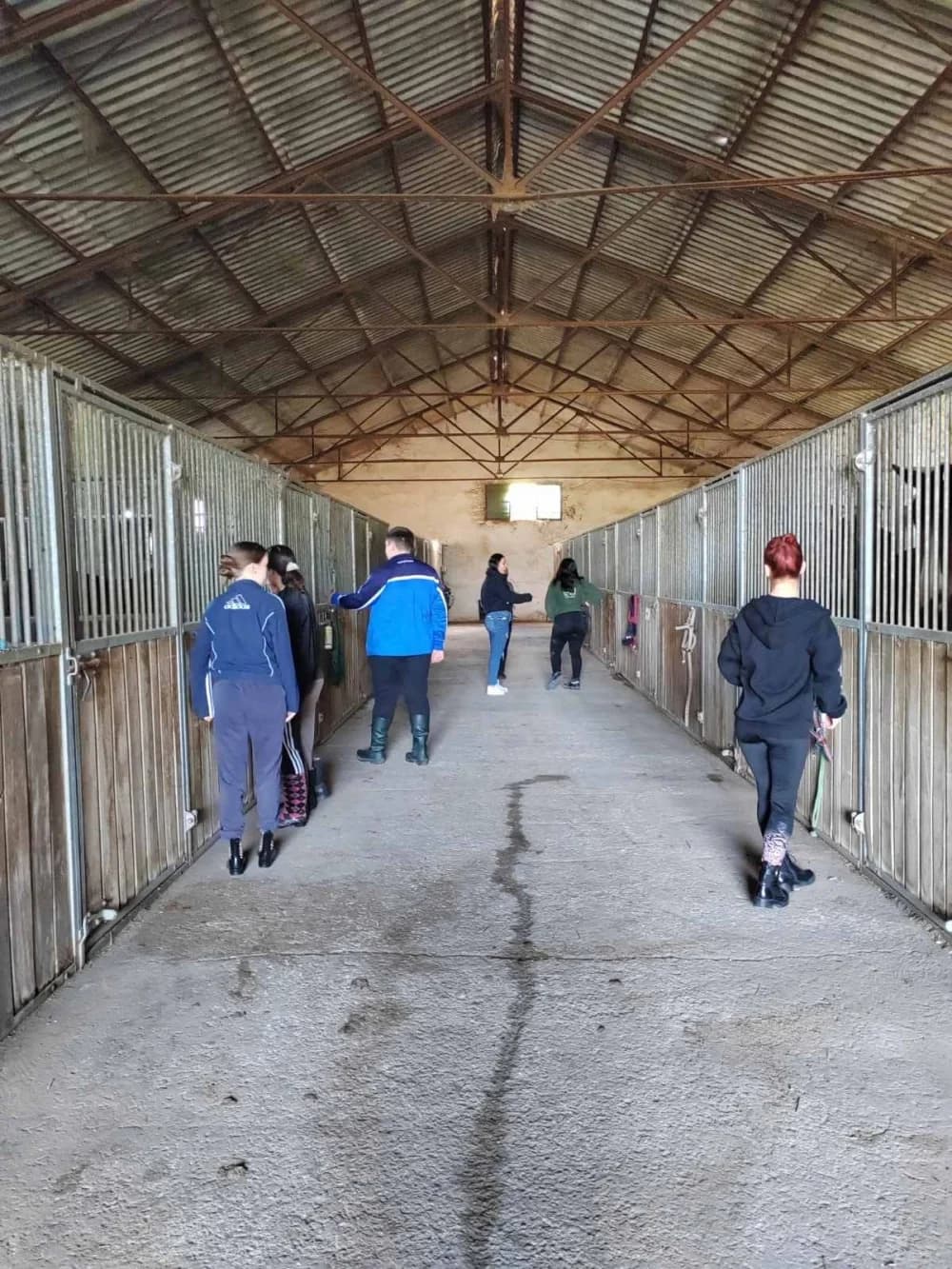 Požeški srednjoškolci obavljaju praksu u Sevilli na farmi konja