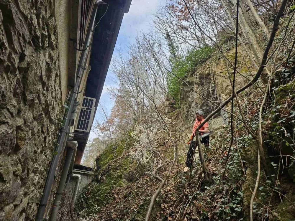 Radna akcija povodom 42. ’Papučkih jaglaca’ u Velikoj