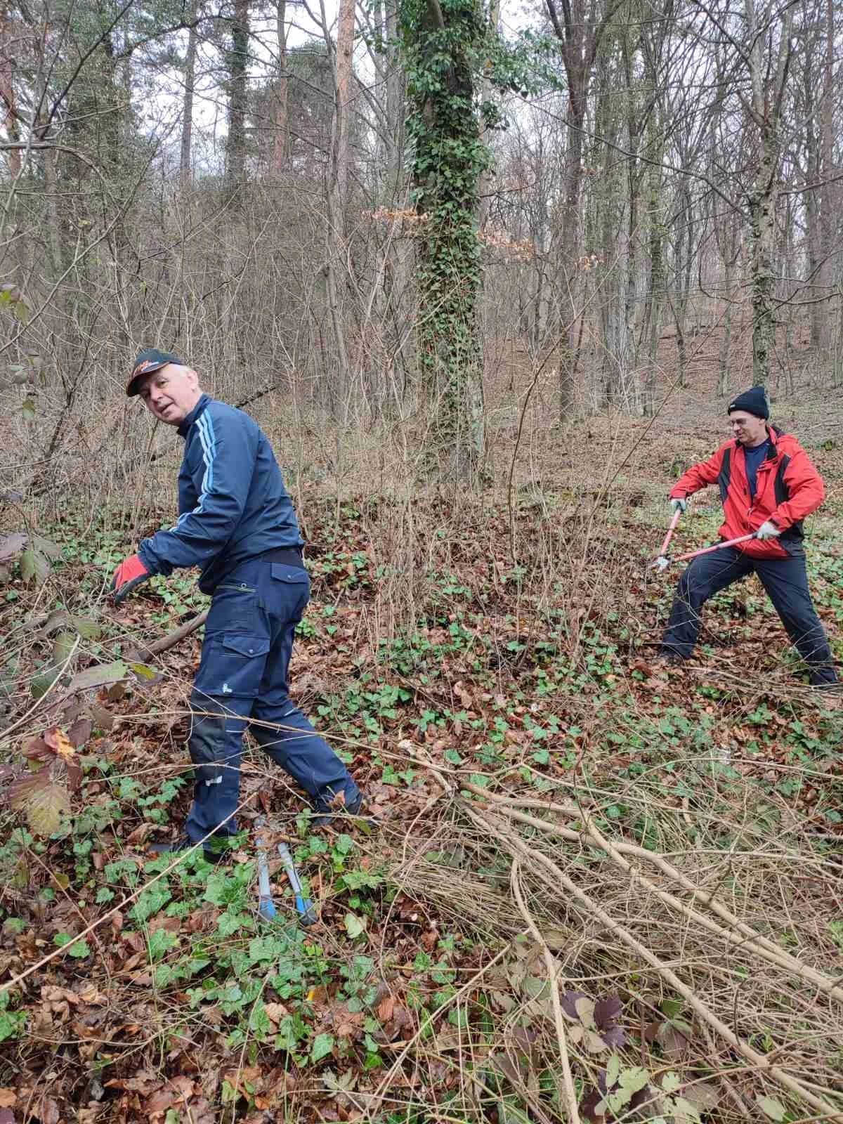Radna akcija povodom 42. ’Papučkih jaglaca’ u Velikoj