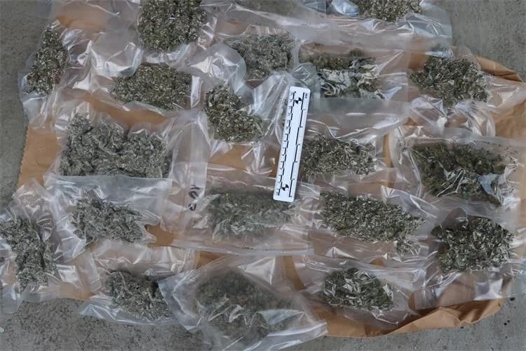 Marihuana