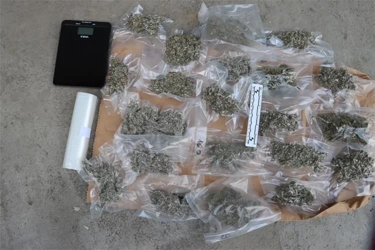 Policija dva pretresa našla marihuanu, tri muškarca prijavljena zbog prodaje i uzgoja