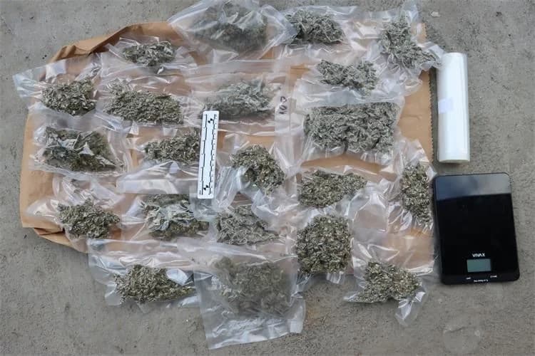 Policija dva pretresa našla marihuanu, tri muškarca prijavljena zbog prodaje i uzgoja