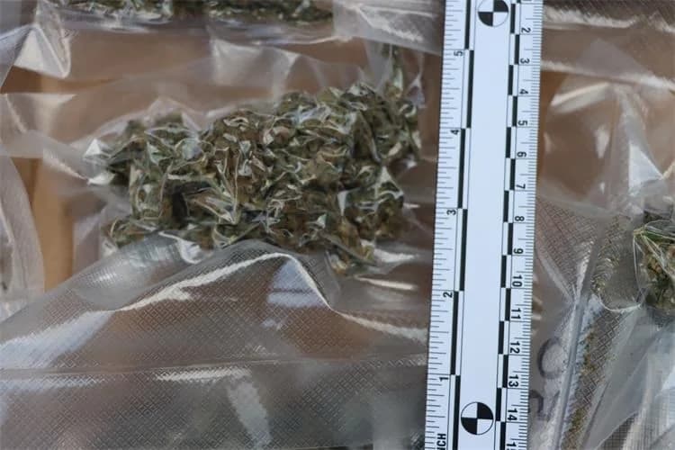 Policija dva pretresa našla marihuanu, tri muškarca prijavljena zbog prodaje i uzgoja