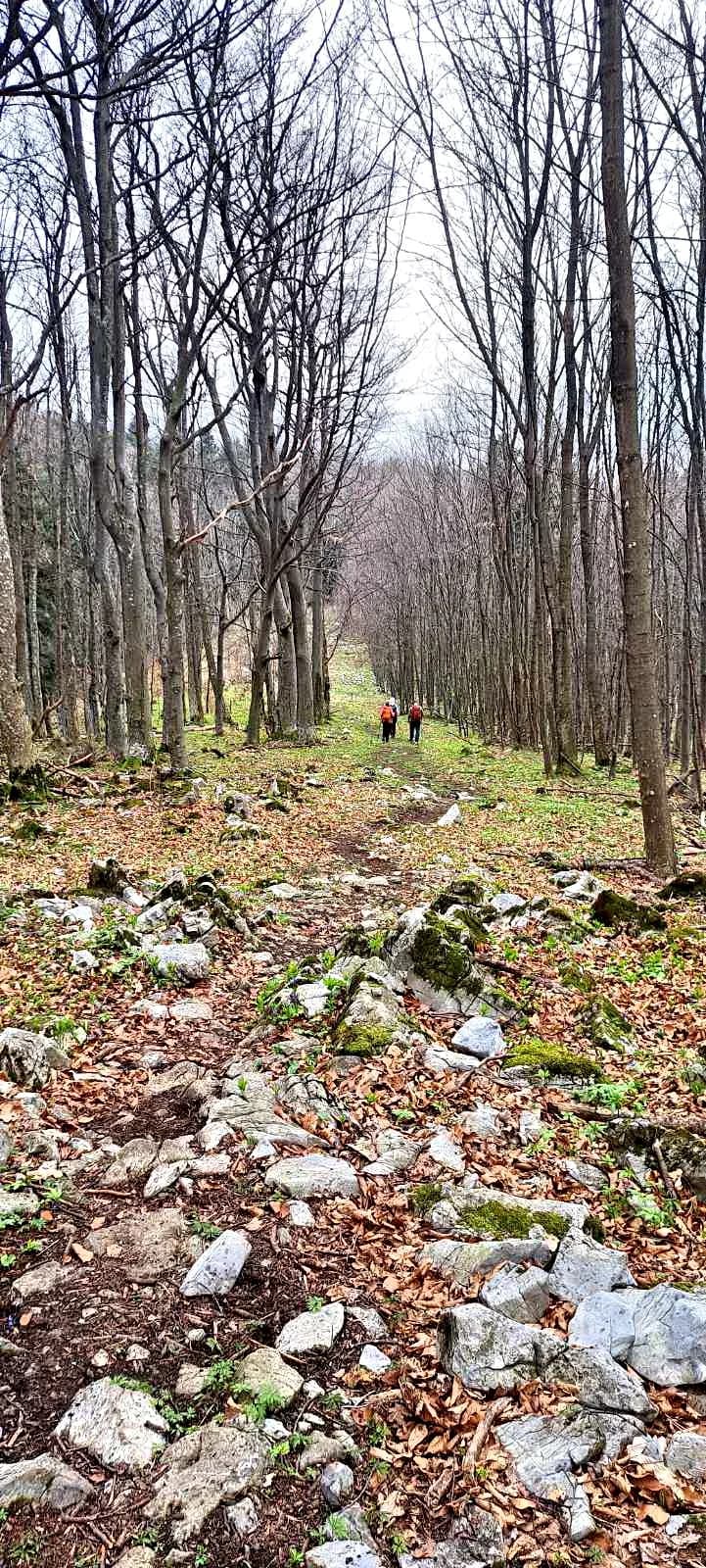 FOTO: Najvišim vrhovima Papuka - PD Kablar Čačak