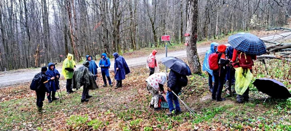FOTO: Najvišim vrhovima Papuka - PD Kablar Čačak