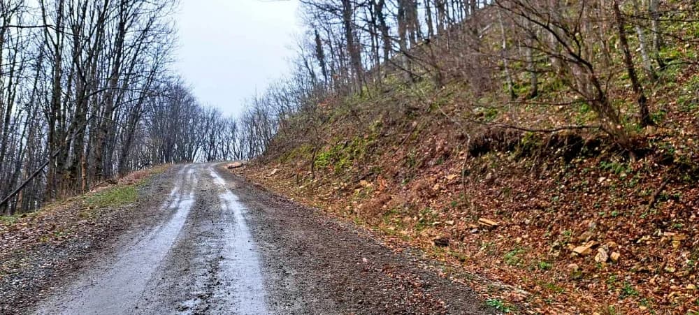 FOTO: Najvišim vrhovima Papuka - PD Kablar Čačak