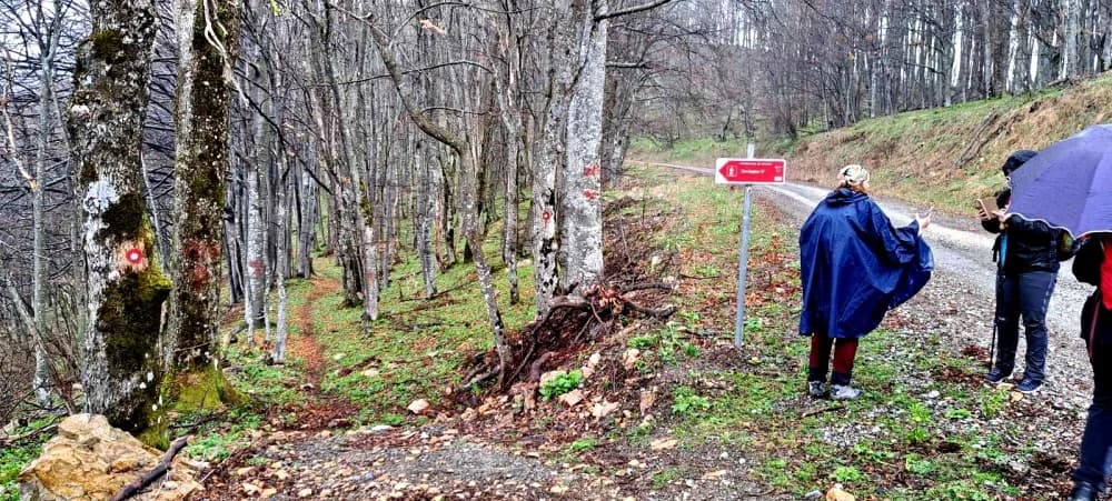 FOTO: Najvišim vrhovima Papuka - PD Kablar Čačak