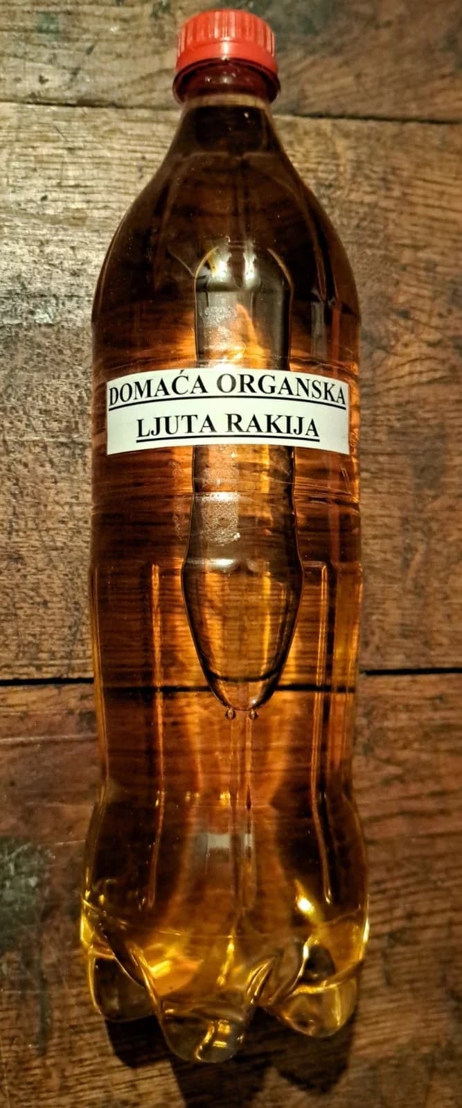 FOTO: Najvišim vrhovima Papuka - PD Kablar Čačak