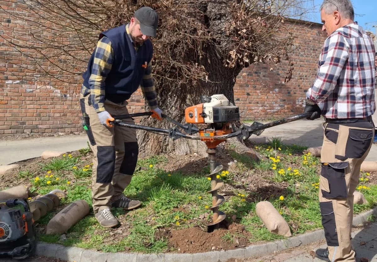 Spašavanje stoljetne Malolisne lipe i revitalizacija Ginka