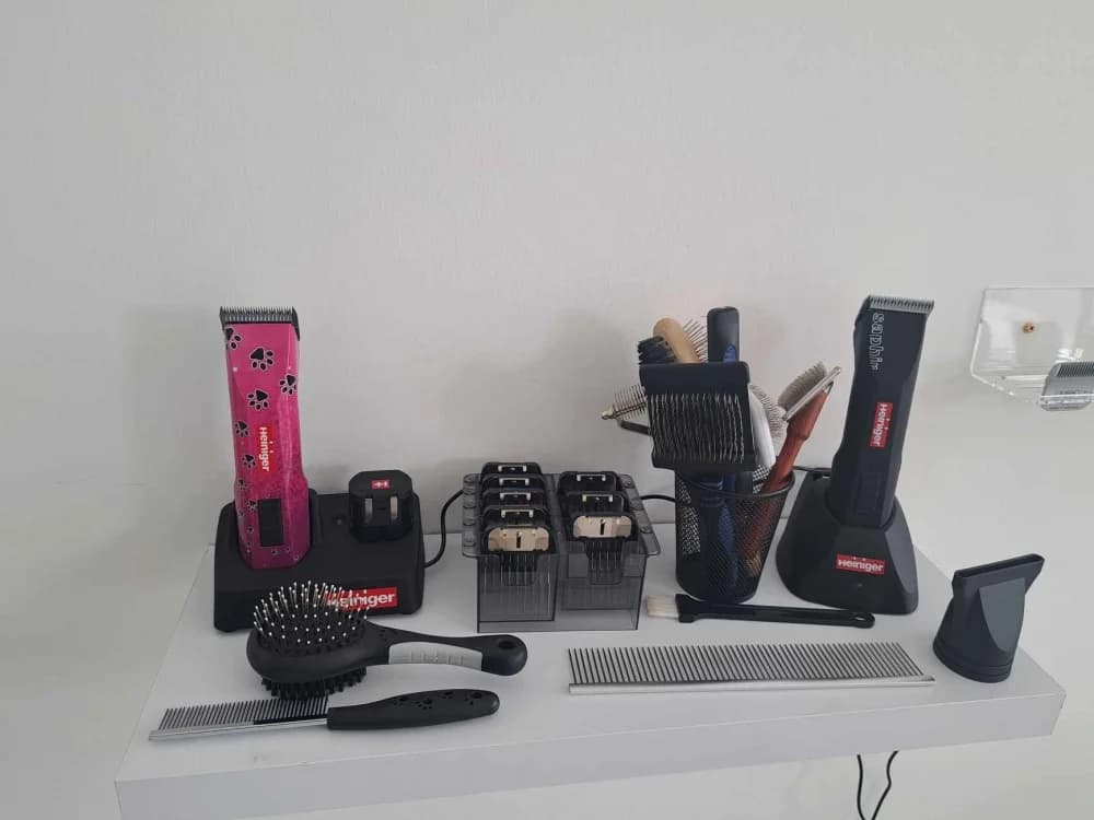 U Pleternici otvoren salon za pse ’Groom’ u vlasništvu Maje Lucić