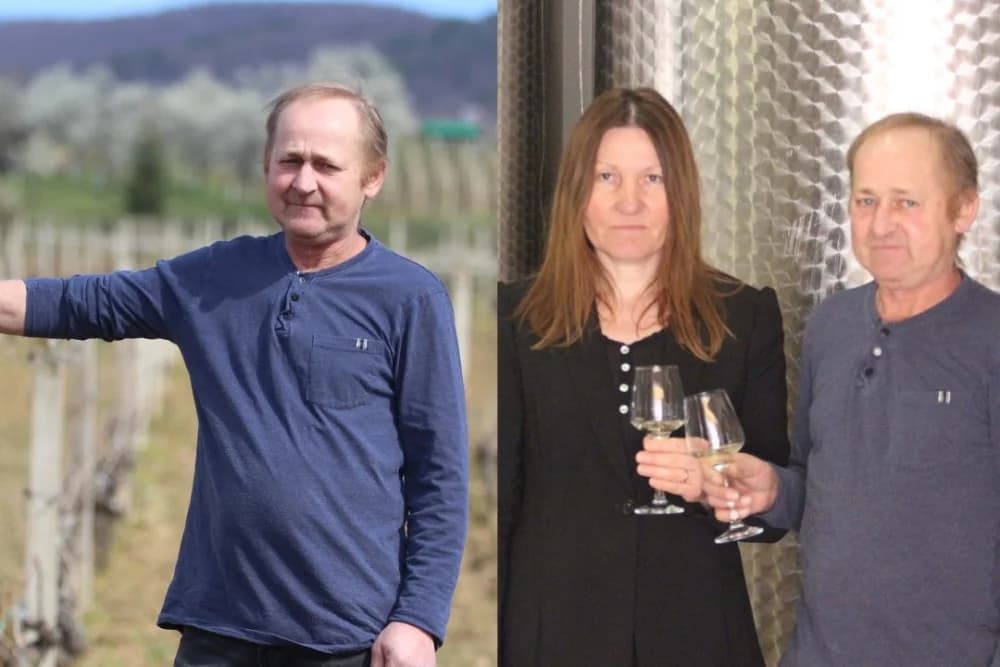OPG Kristina Svitok: Uzgoj vinove loze u Novom Mitrovcu