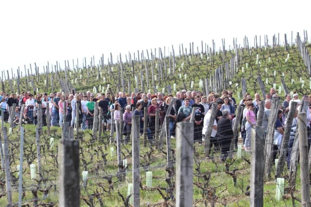 FOTO: Križni put u Kutjevu obilježio Veliki petak u duhu zajedništva 