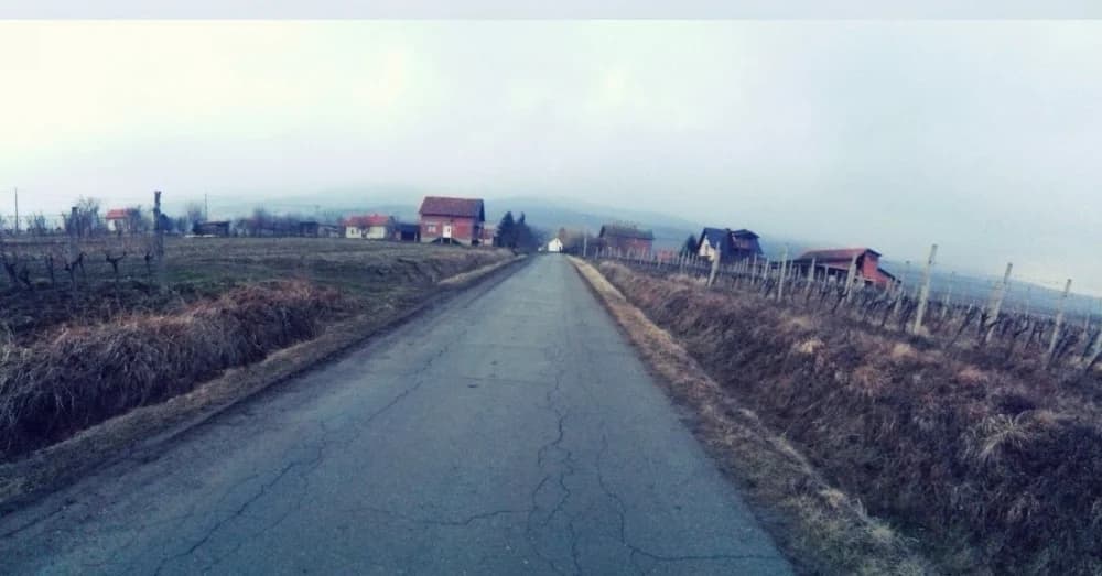 Venje