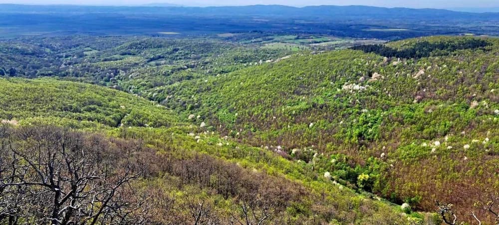 FOTO: Terenska vježba 6. Opće planinarske škole u HPD Gojzerica Požega 