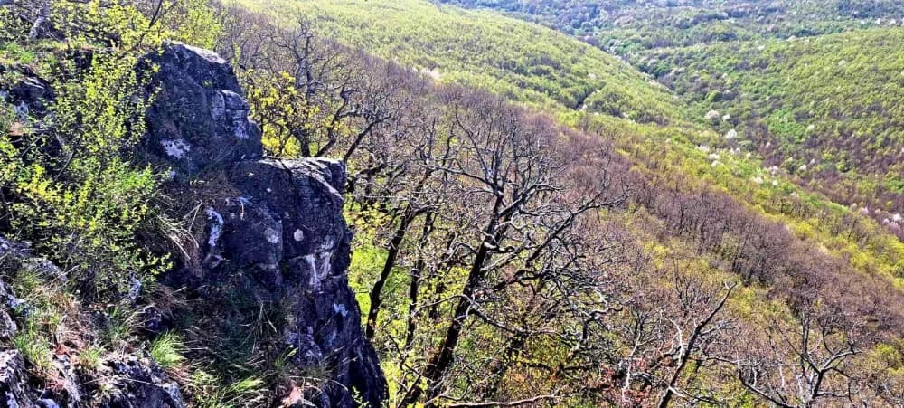 FOTO: Terenska vježba 6. Opće planinarske škole u HPD Gojzerica Požega 