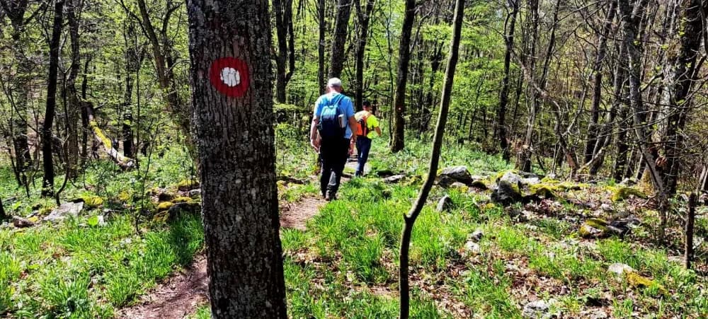 FOTO: Terenska vježba 6. Opće planinarske škole u HPD Gojzerica Požega 