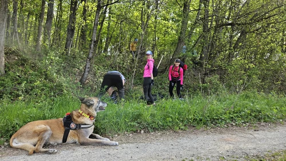 FOTO: Zajednička akcija požeških planinarskih društava – Eko akcija za zeleni Papuk