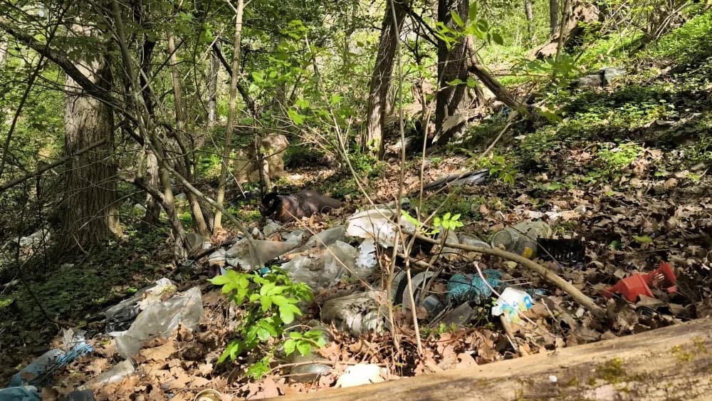 FOTO: Zajednička akcija požeških planinarskih društava – Eko akcija za zeleni Papuk