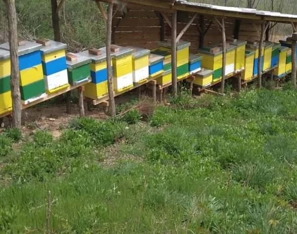 Obitelj Abramović u Biškupcima otvorila prvu apiinhalacijsku kućicu u Požeško-slavonskoj županiji