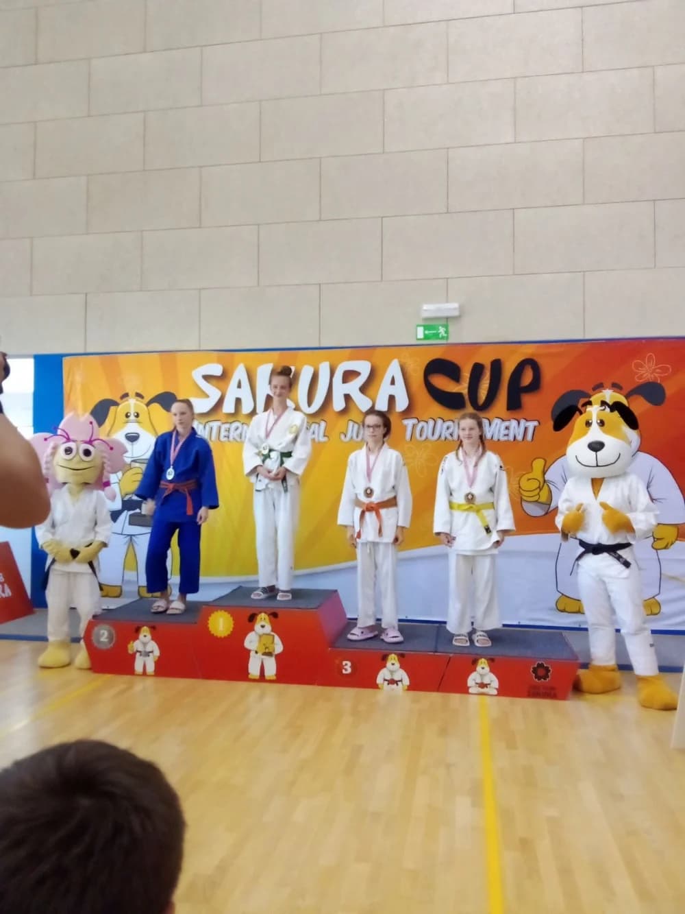 Judo klub Slavonac odličan na ’Sakura cupu’ u Svetoj Nedjelji