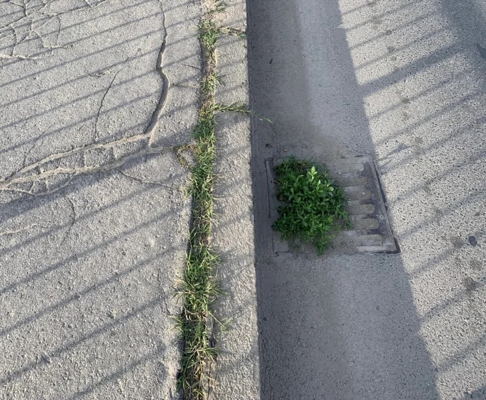 Ludost u Požegi: Dok netko ne nastrada nadležni neće reagirati ?!?!