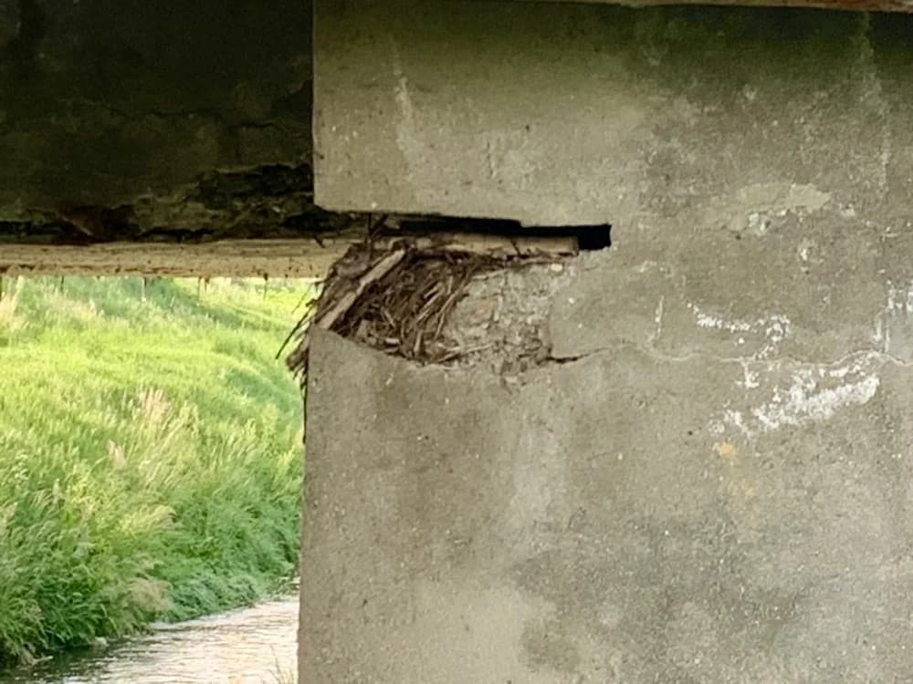 Ludost u Požegi: Dok netko ne nastrada nadležni neće reagirati ?!?!