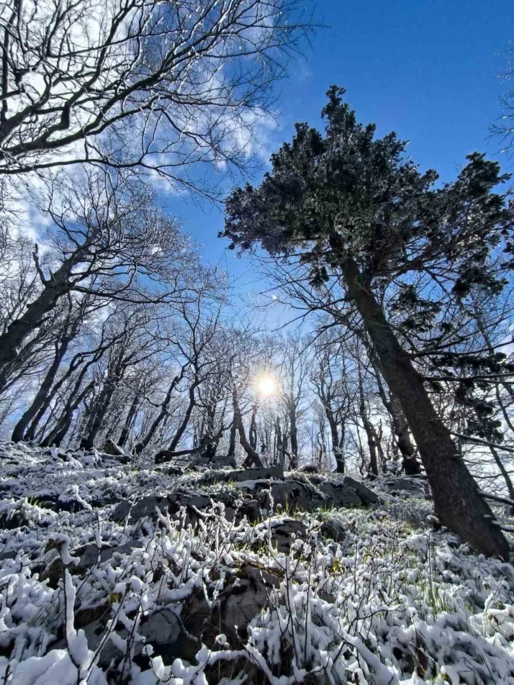 FOTO: „Maturalac“ polaznika 6. opće planinarske škole HPD Gojzerica Požega u Gorskom kotaru