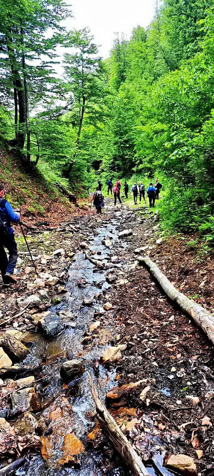 FOTO: 6. Slivin pohod - PD Petrov vrh Daruvar 