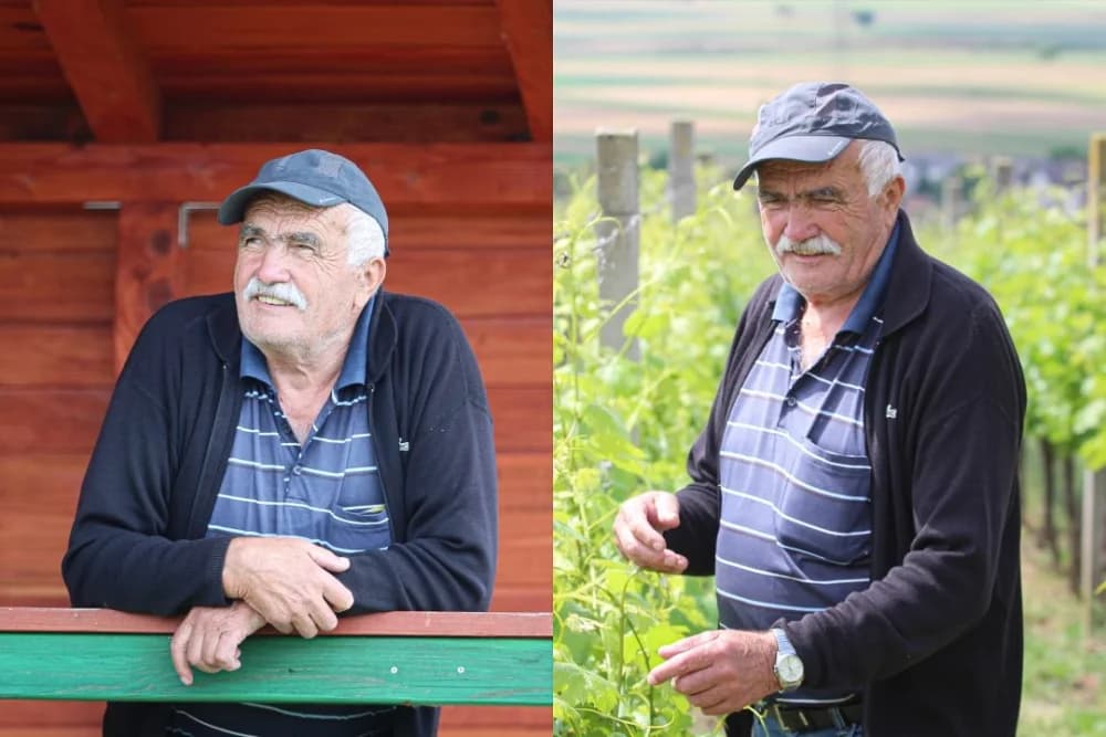 Oaza mira: Život i rad Ferde Pavkovića među vinovom lozom