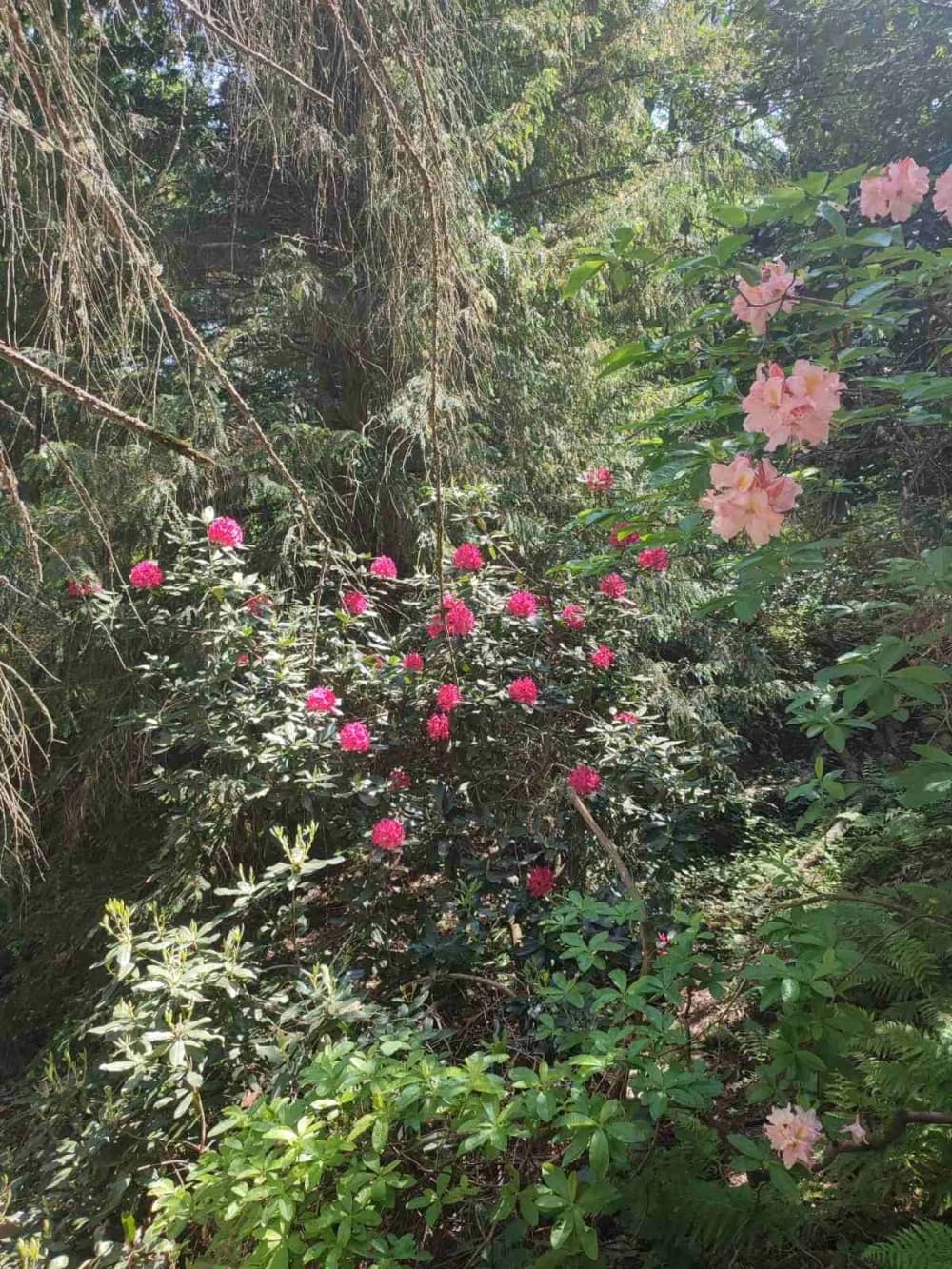 FOTO: Izlet na Rupnicu i Arboretum Lisičine članova HPD ’Sokolovac’ Požega