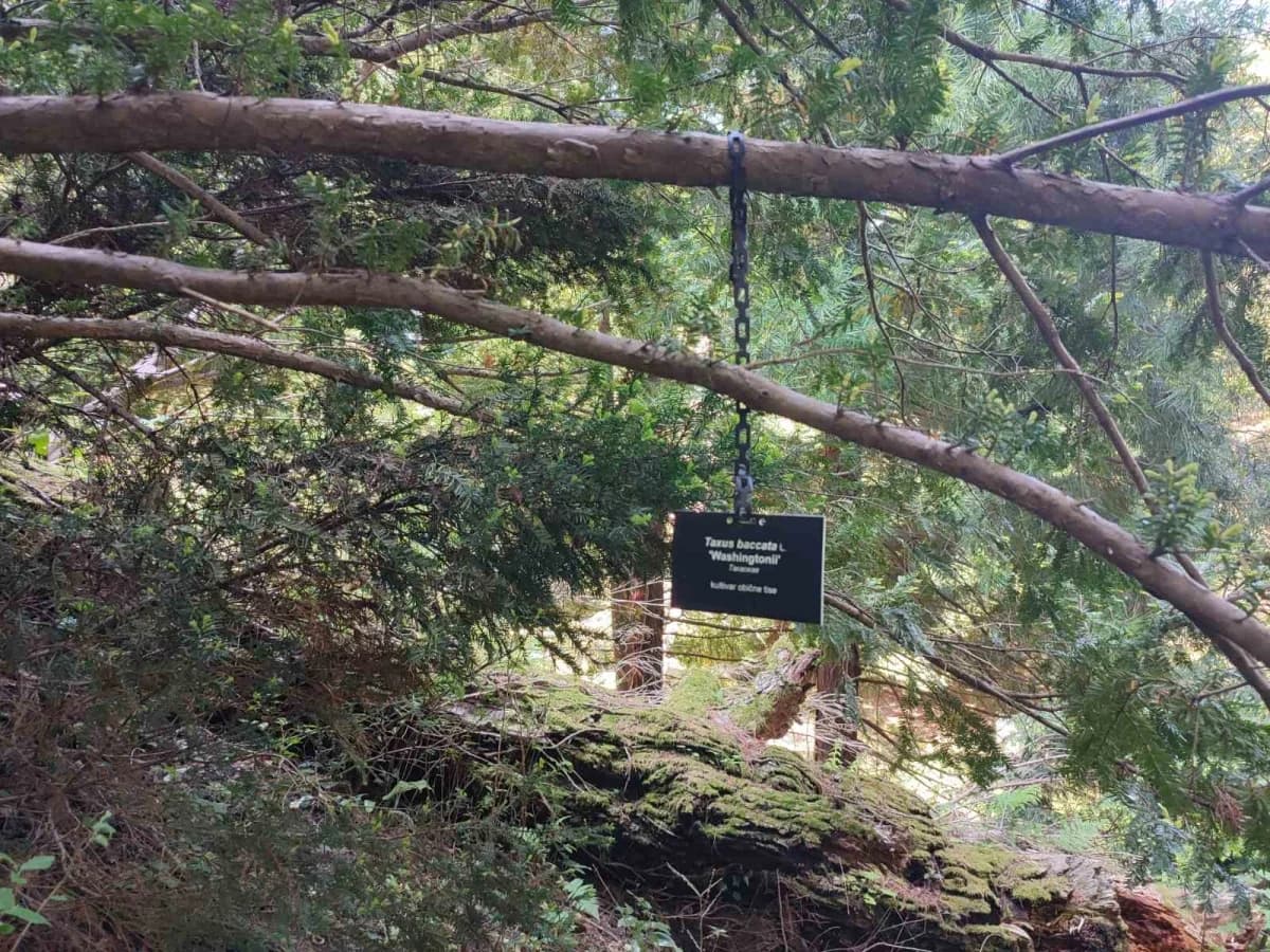FOTO: Izlet na Rupnicu i Arboretum Lisičine članova HPD ’Sokolovac’ Požega