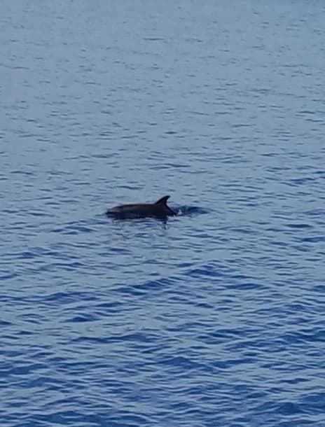 Izlet članova HPD ’Sokolovac’ Požega na Rab i Goli Otok