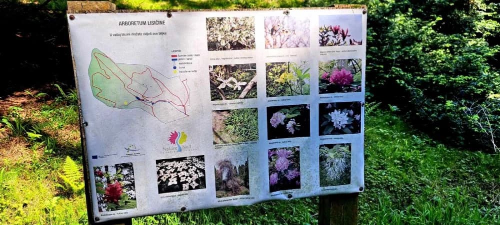 FOTO: Planinari HPD Gojzerice na izletu u arboretum Lisičine 