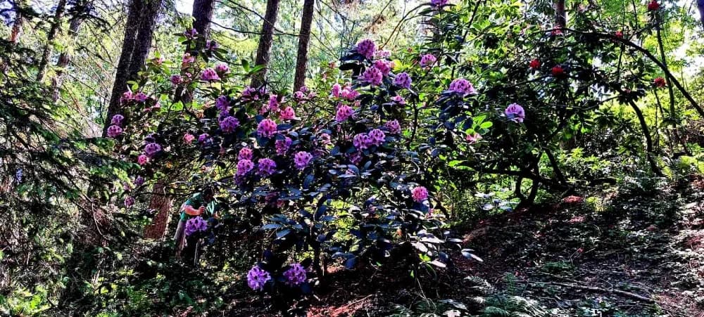 FOTO: Planinari HPD Gojzerice na izletu u arboretum Lisičine 