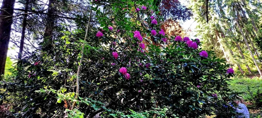 FOTO: Planinari HPD Gojzerice na izletu u arboretum Lisičine 