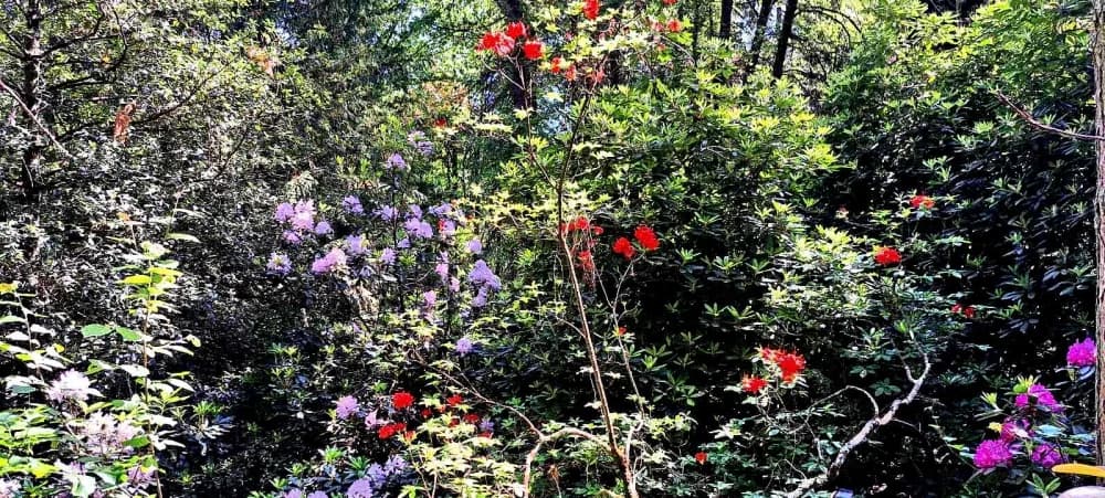FOTO: Planinari HPD Gojzerice na izletu u arboretum Lisičine 