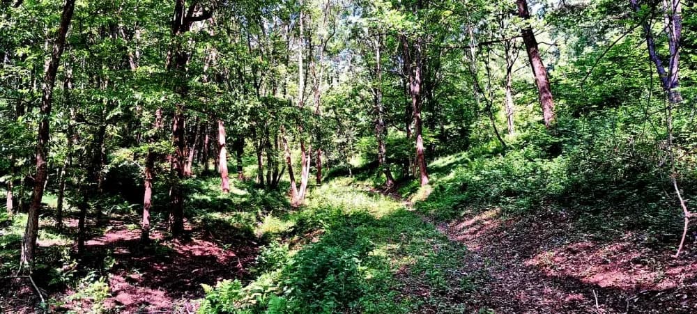 FOTO: Planinari HPD Gojzerice na izletu u arboretum Lisičine 