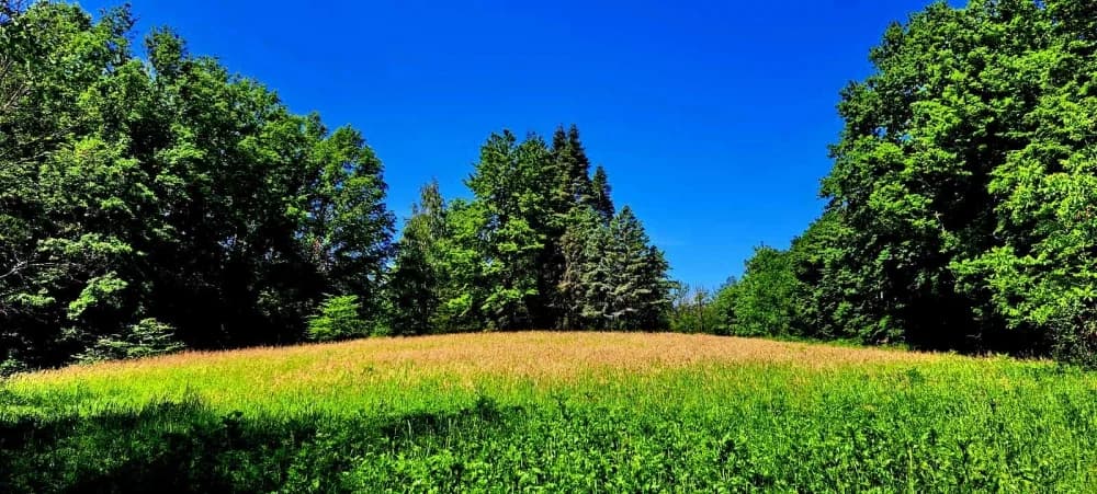 FOTO: Planinari HPD Gojzerice na izletu u arboretum Lisičine 