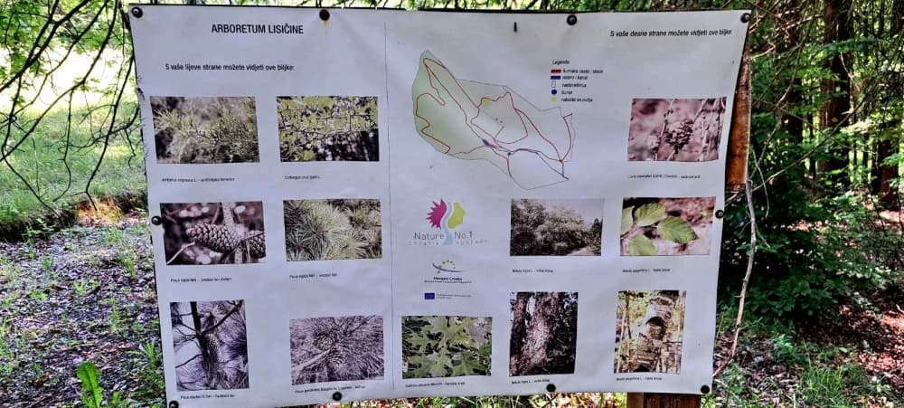 FOTO: Planinari HPD Gojzerice na izletu u arboretum Lisičine 