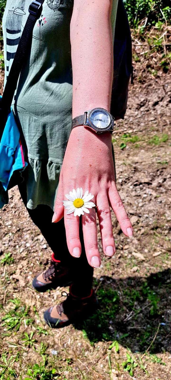 FOTO: Planinari HPD Gojzerice na izletu u arboretum Lisičine 