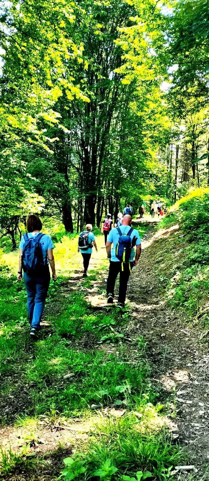 FOTO: Planinari HPD Gojzerice na izletu u arboretum Lisičine 