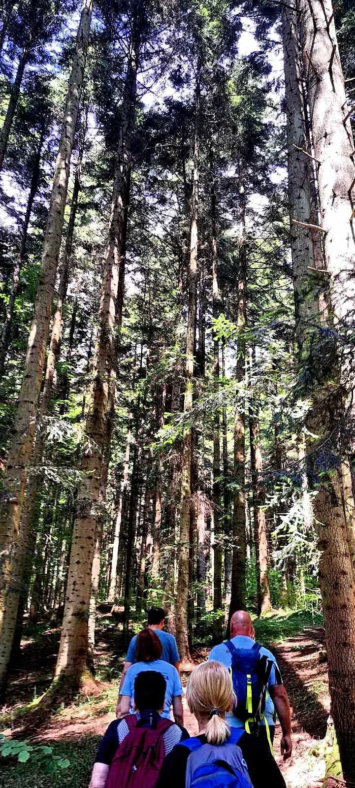 FOTO: Planinari HPD Gojzerice na izletu u arboretum Lisičine 