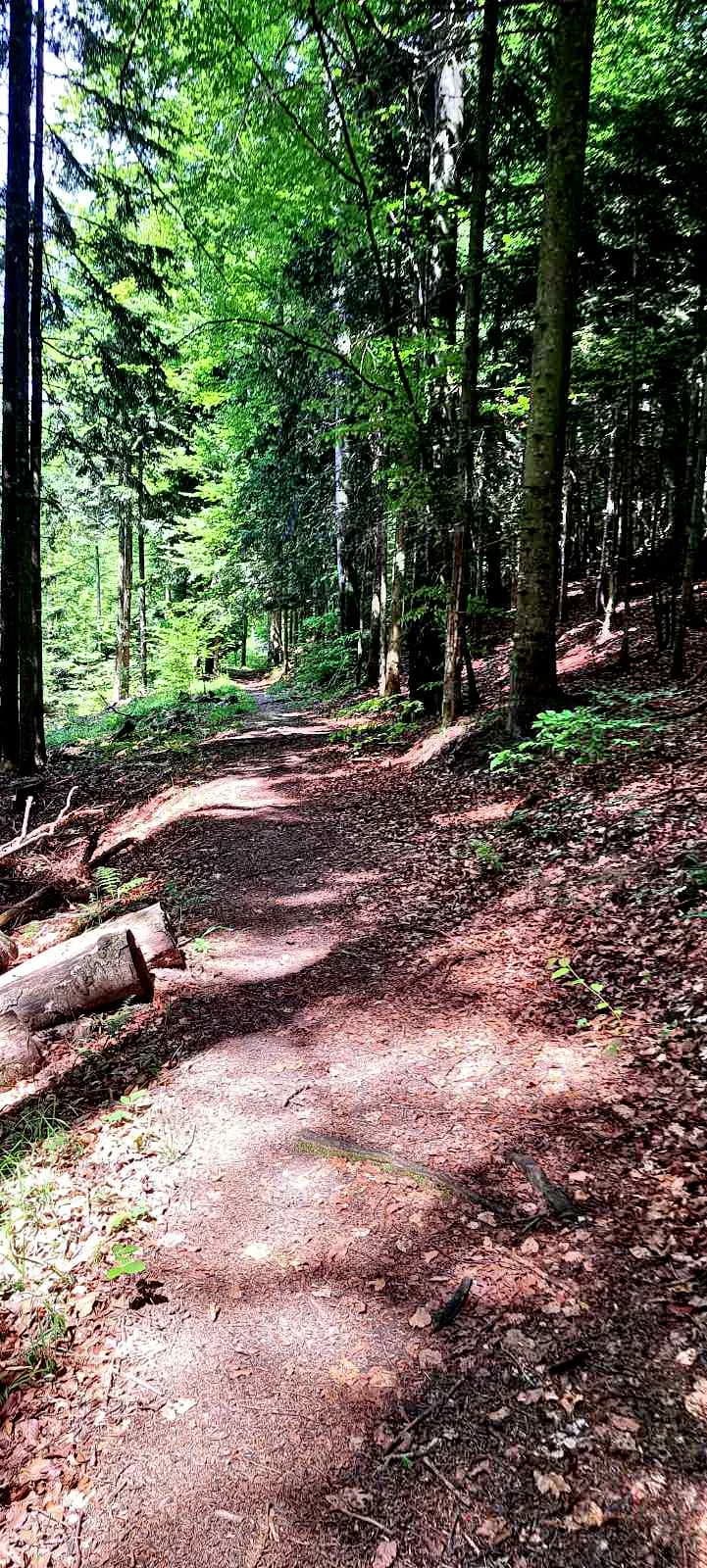 FOTO: Planinari HPD Gojzerice na izletu u arboretum Lisičine 