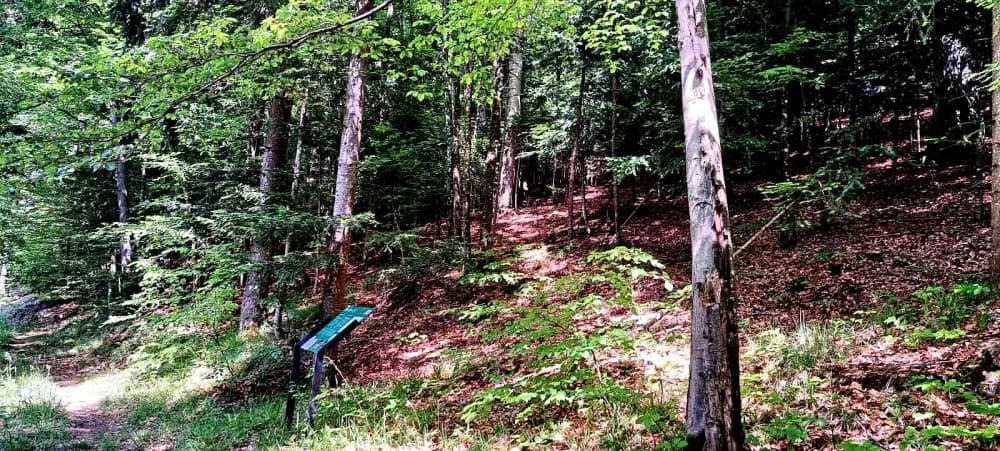 FOTO: Planinari HPD Gojzerice na izletu u arboretum Lisičine 