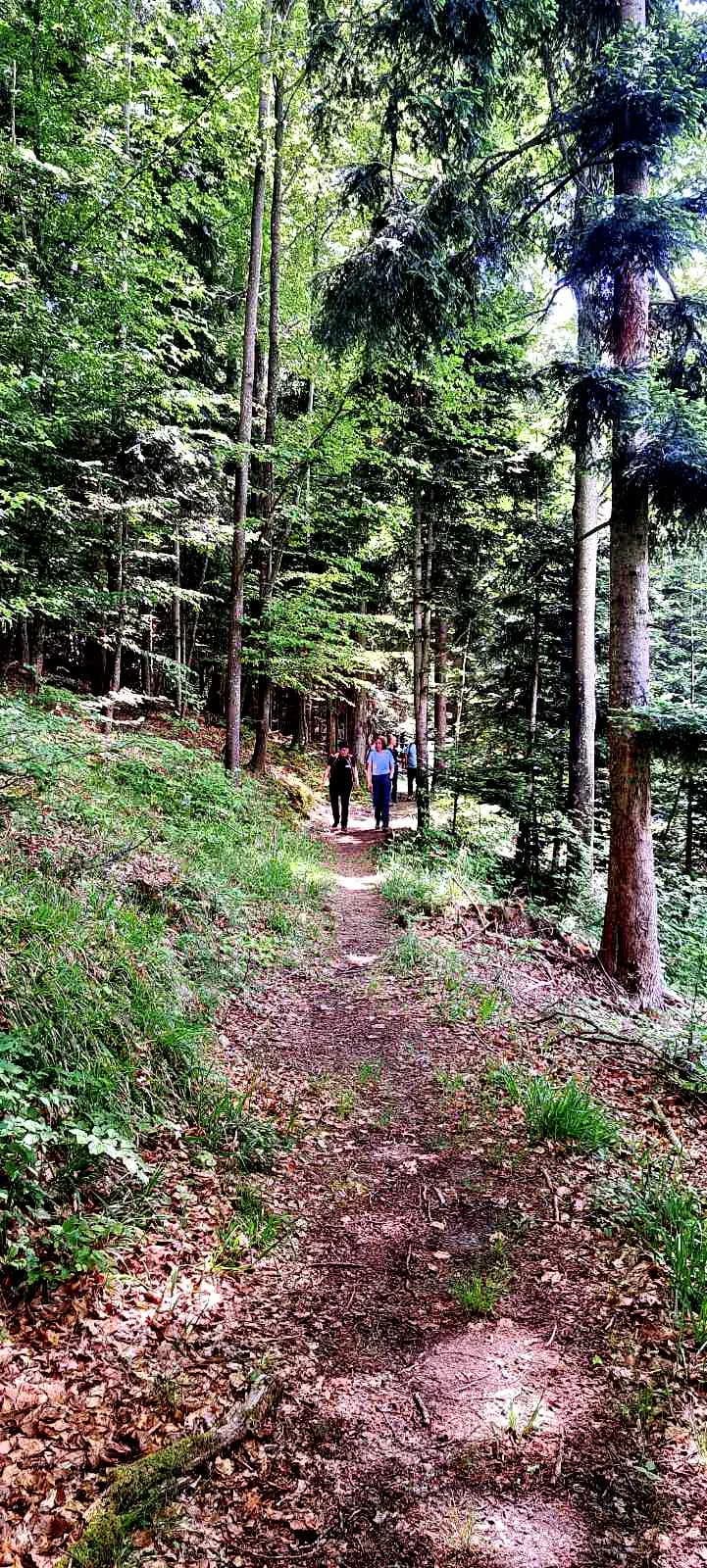 FOTO: Planinari HPD Gojzerice na izletu u arboretum Lisičine 